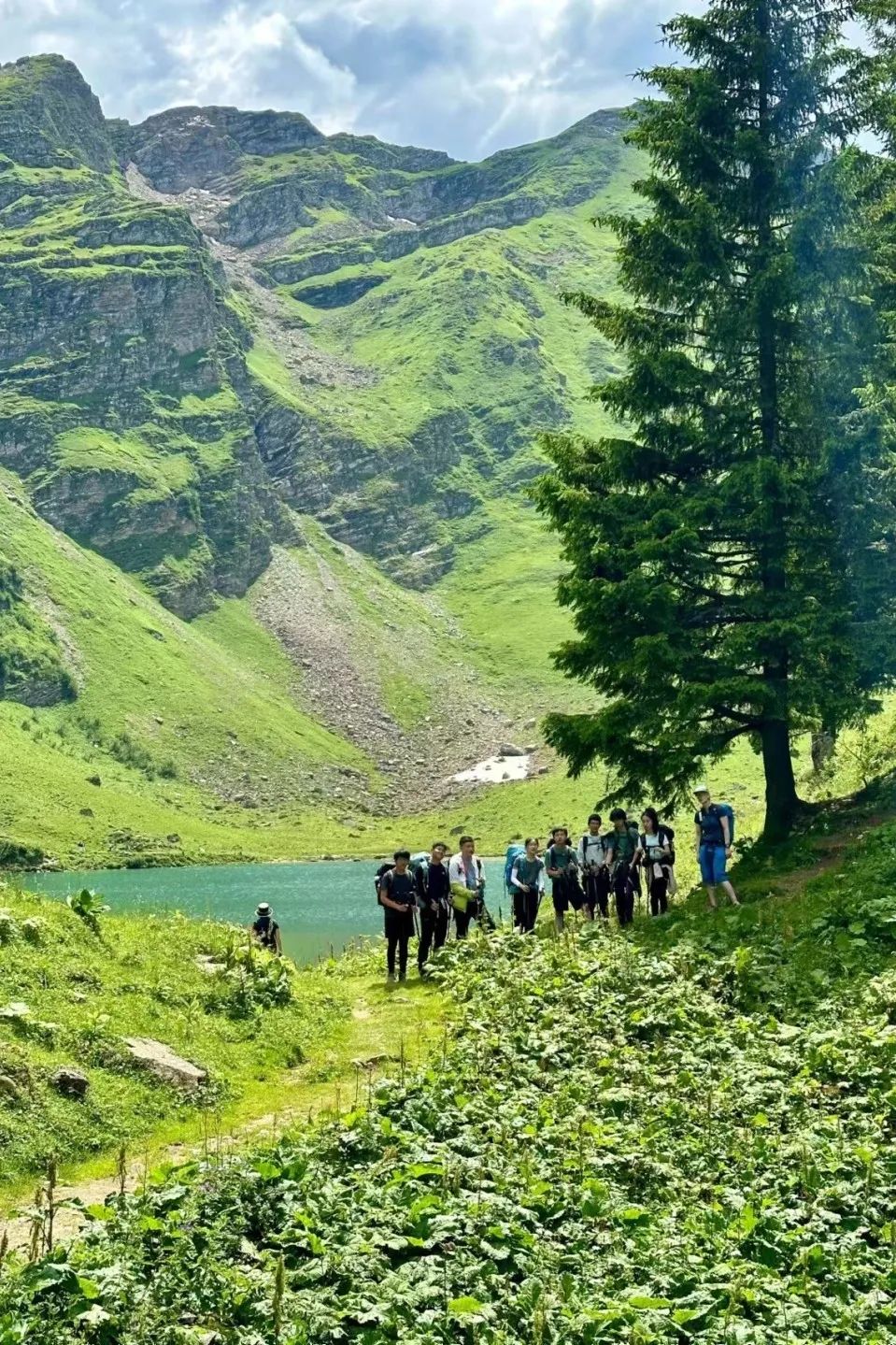 重启的瑞士徒步，诺达学子收获了…-Swiss Hiking-swiss